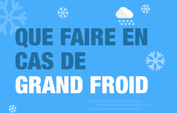 Dispositif national grand froid